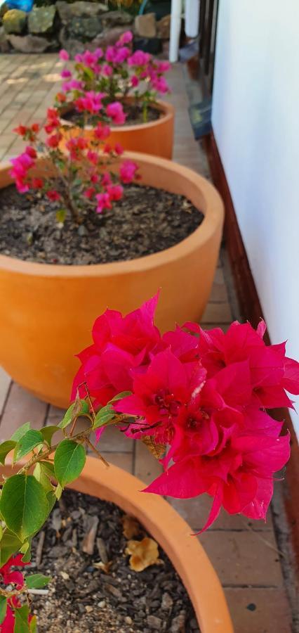 Summer Sand Holiday Cottages Scottburgh Dış mekan fotoğraf